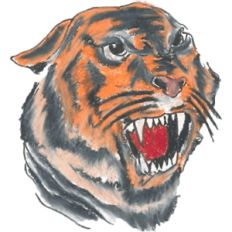 tiger