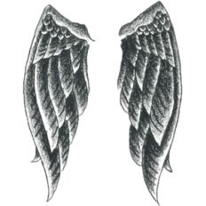wings