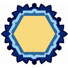 scalloped hexagon