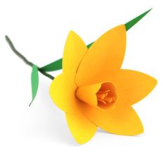 3d daffodil