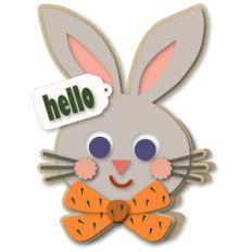 bunny boy a7 card