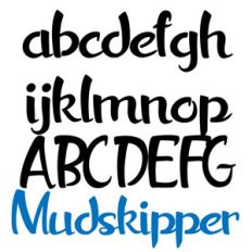 pn mudskipper