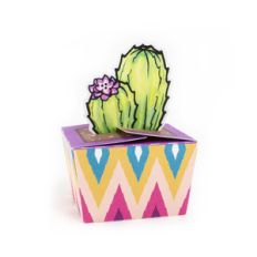 tall cactus box