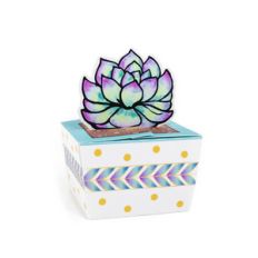 succulent box