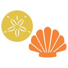 sea shells