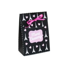 eiffel tower bag