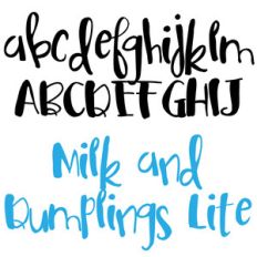 zp milk and dumplings lite