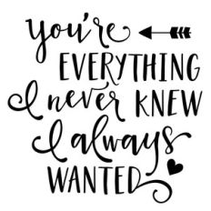 you're everything i never knew
