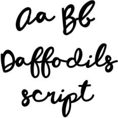 daffodils script font