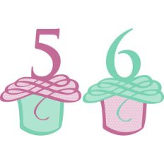 flourished cupcake numbers 5 and 6