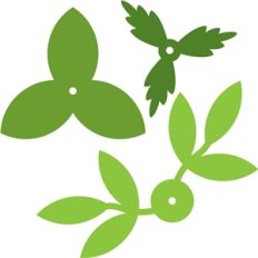 flower leaves