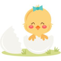 girl chick in egg