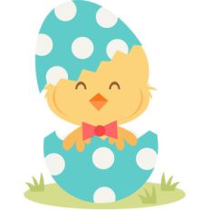 boy chick in egg