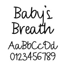 baby's breath