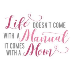 life doesn't come with a manual