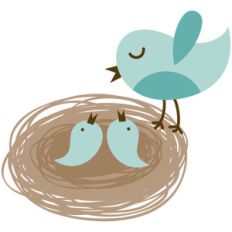 mother bird with nest