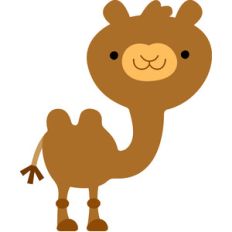 camel - at the zoo