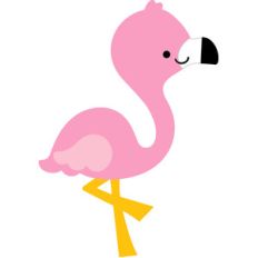 flamingo - at the zoo