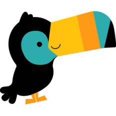 toucan - at the zoo