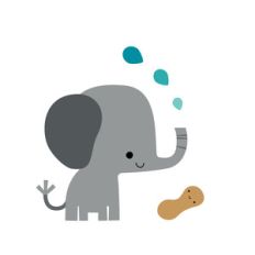 elephant - at the zoo
