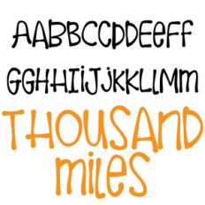 zp thousand miles