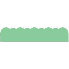 scallop border