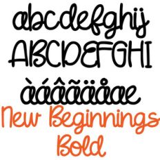 pn new beginnings bold