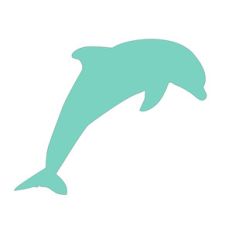 dolphin
