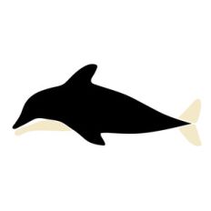 orca