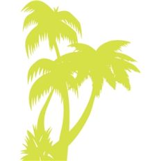 palm trees