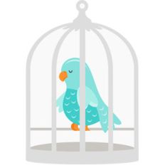 bird in birdcage