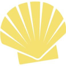 sea shell