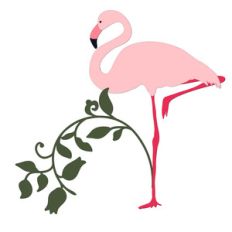 flamingo flourish
