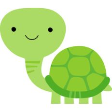 turtle - at the zoo