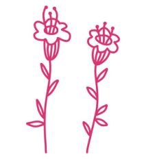 sweetflowers