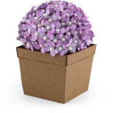 hydrangea in pot