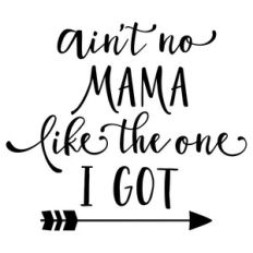 ain't no mama like one i got phrase