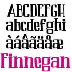 pn finnegan