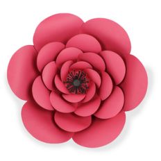 peony flower - big