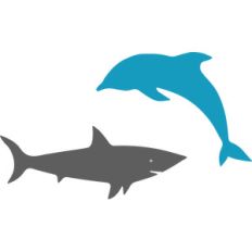 shark and dolphin