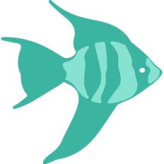 angel fish
