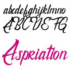 zp aspiration