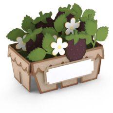 box card blackberry carton