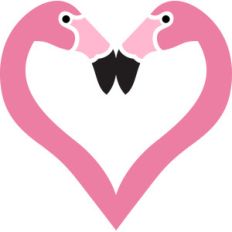 heart flamingos