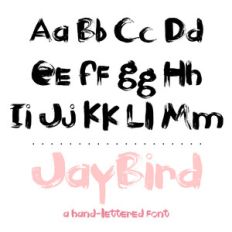 jay bird