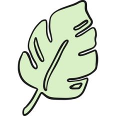 tropical leaf