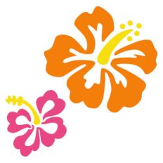 tropical flower set