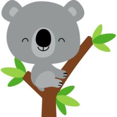koala - at the zoo