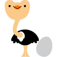 ostrich - at the zoo