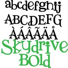 pn skydrive bold